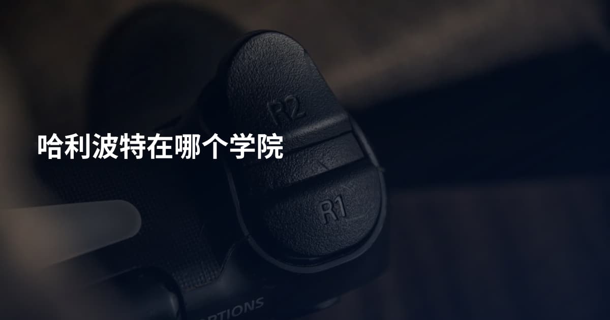 哈利波特在哪个学院