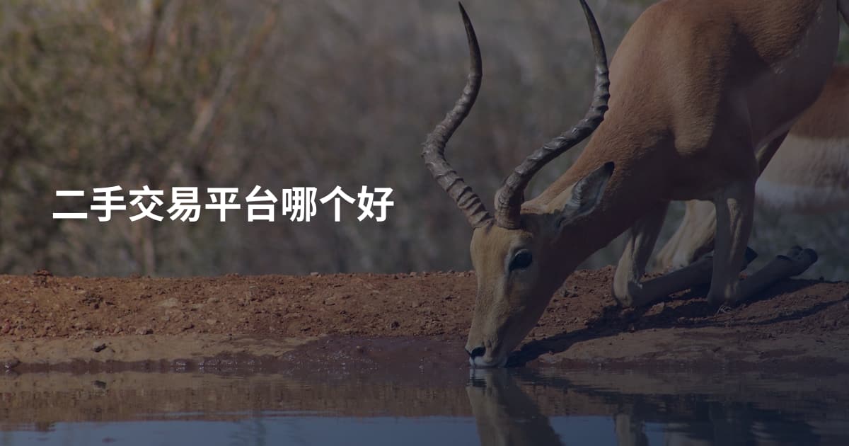 二手交易平台哪个好