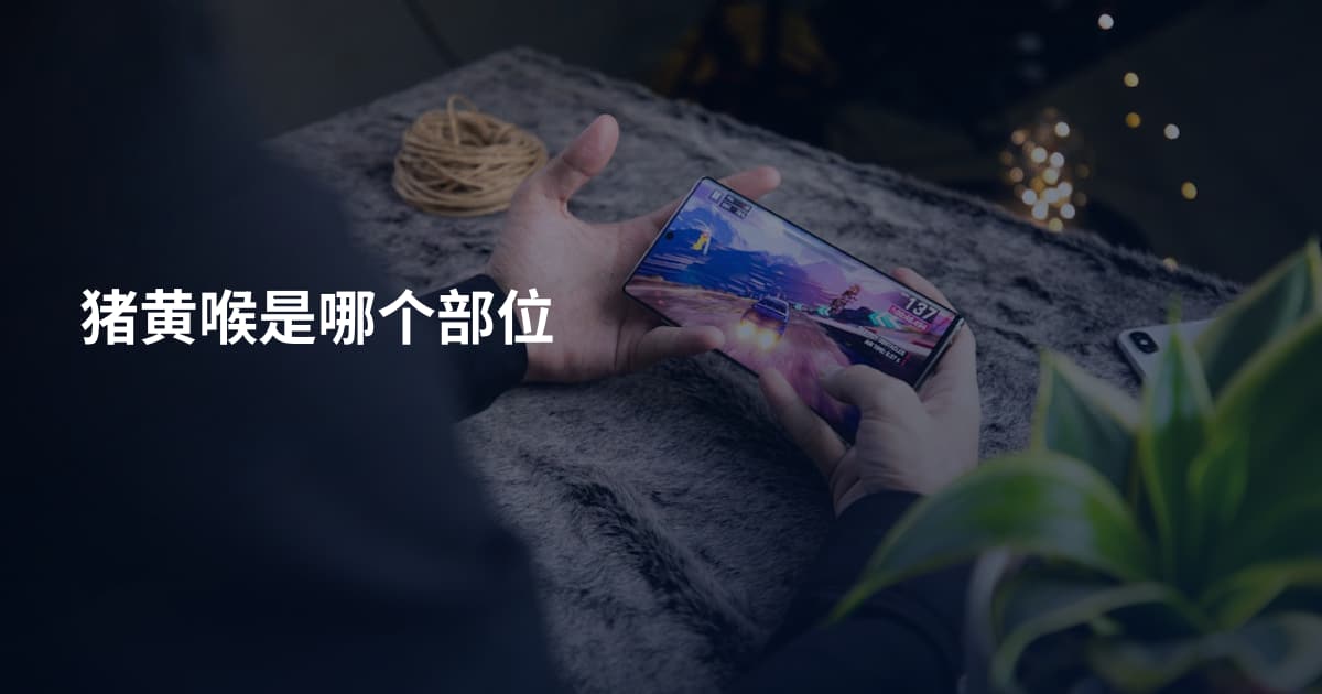 猪黄喉是哪个部位