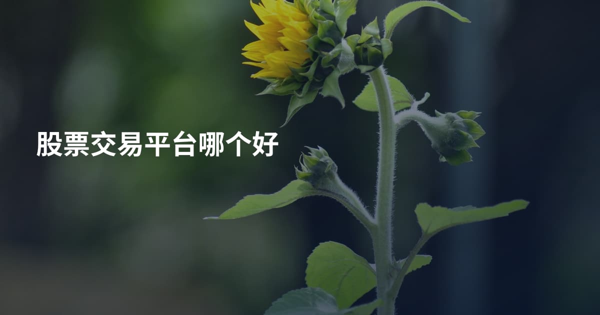 股票交易平台哪个好