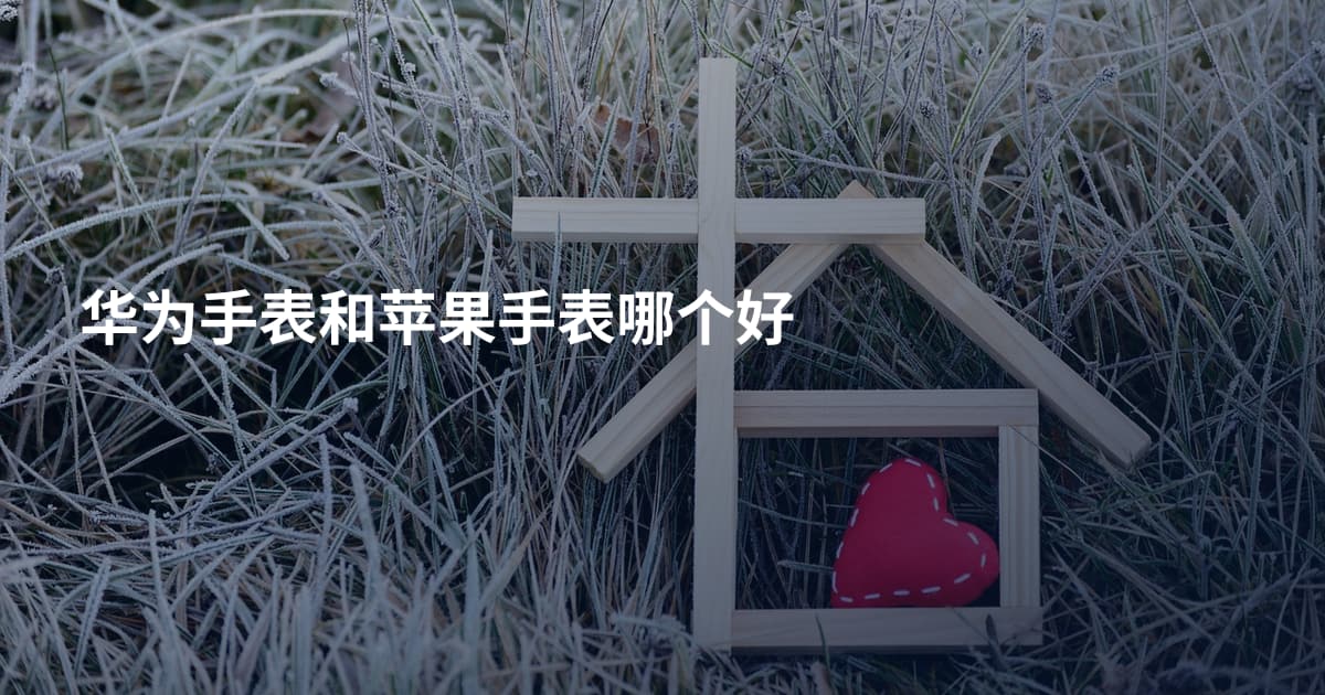华为手表和苹果手表哪个好