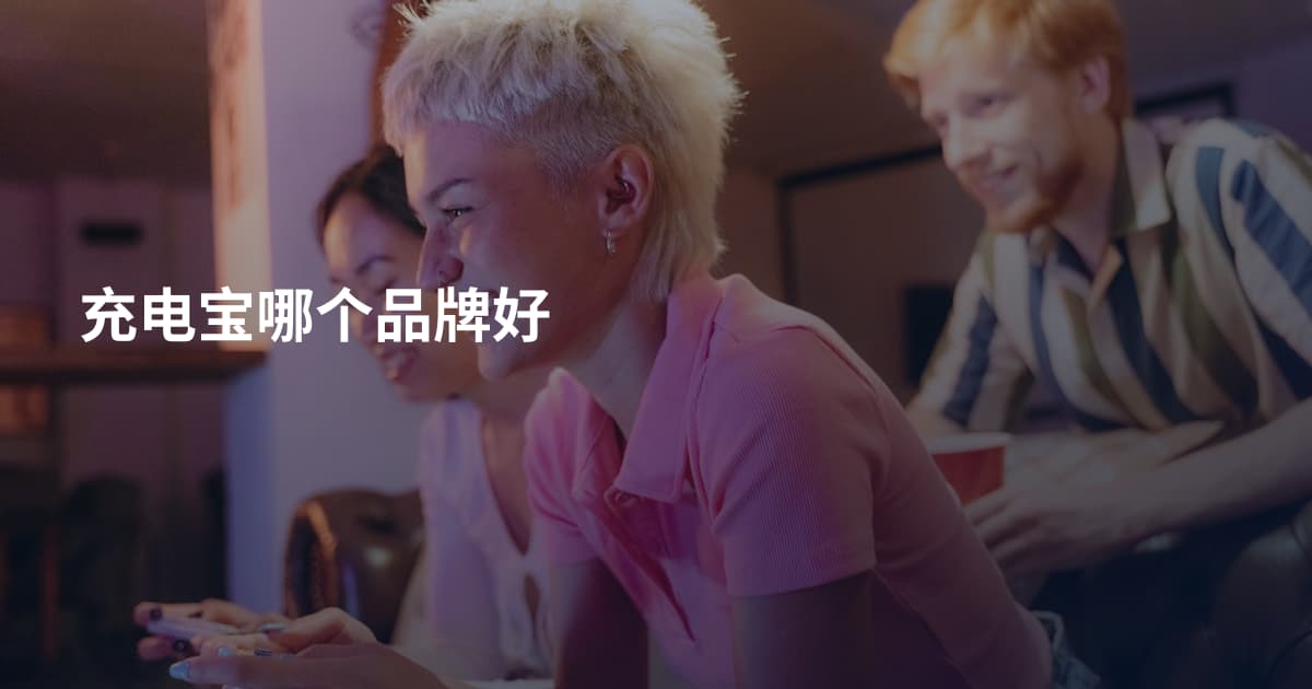 充电宝哪个品牌好
