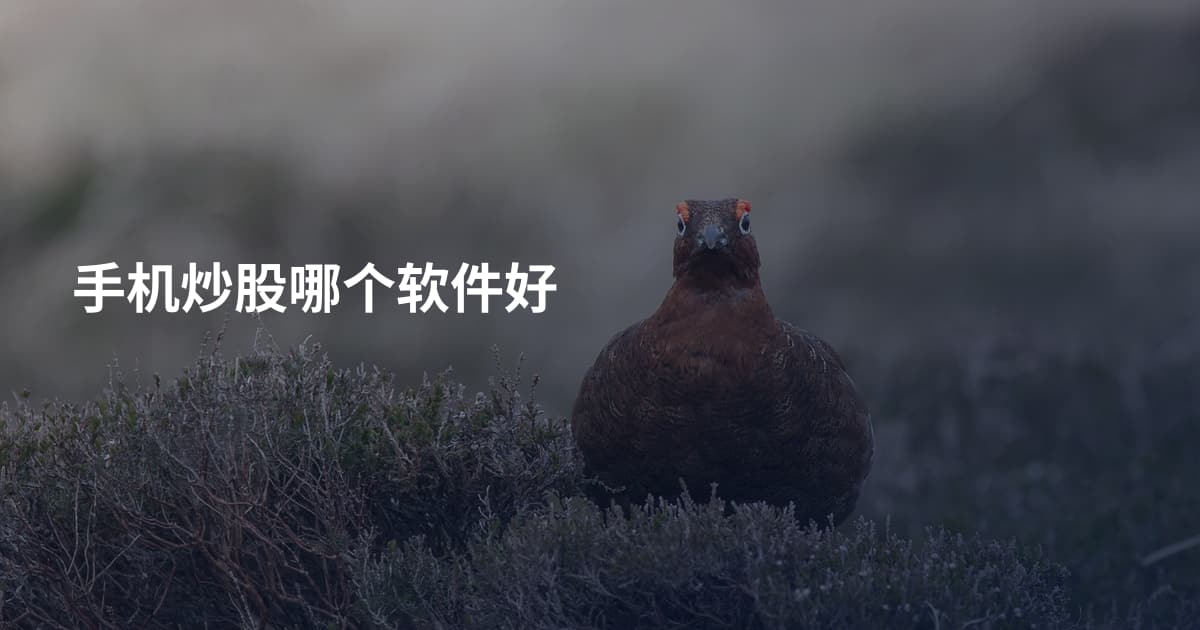 手机炒股哪个软件好