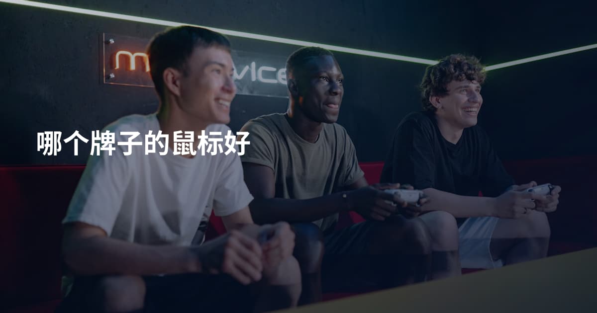 哪个牌子的鼠标好