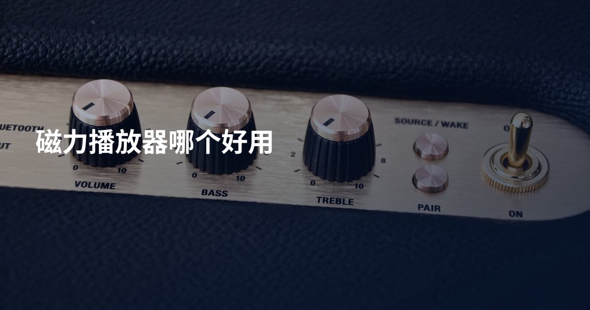 磁力播放器哪个好用