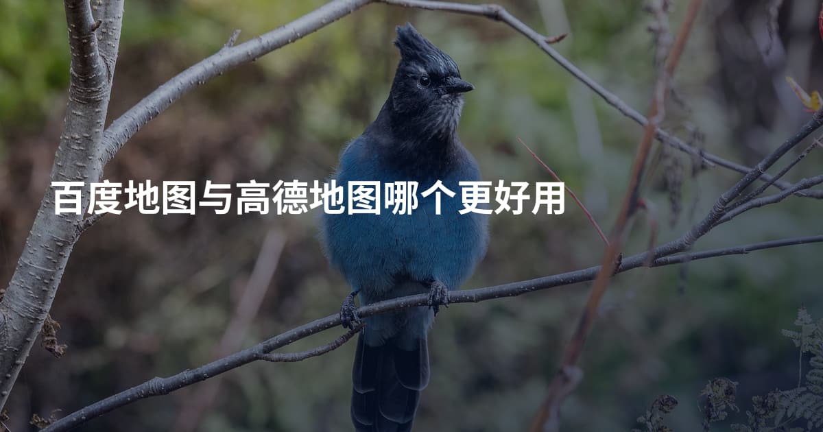 百度地图与高德地图哪个更好用