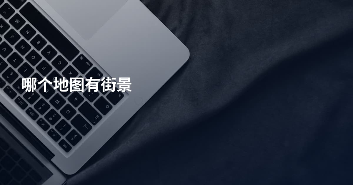 哪个地图有街景