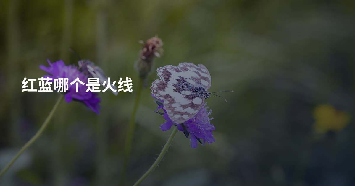 红蓝哪个是火线