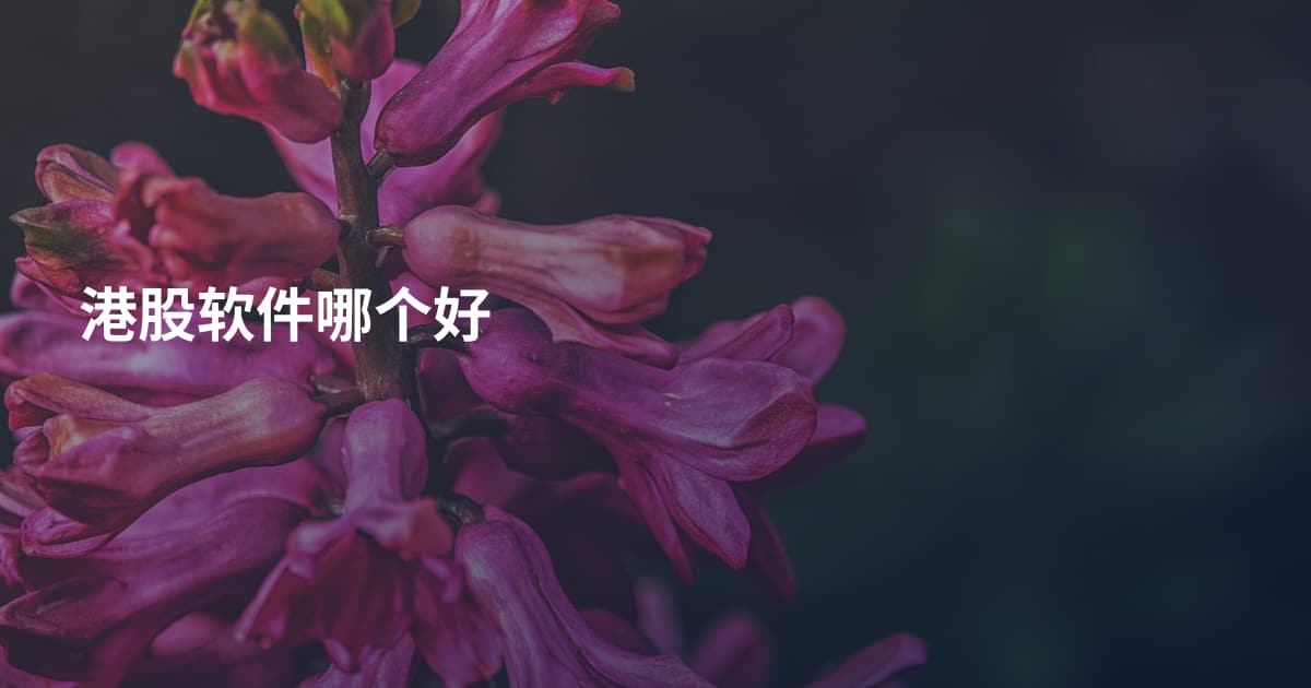 港股软件哪个好
