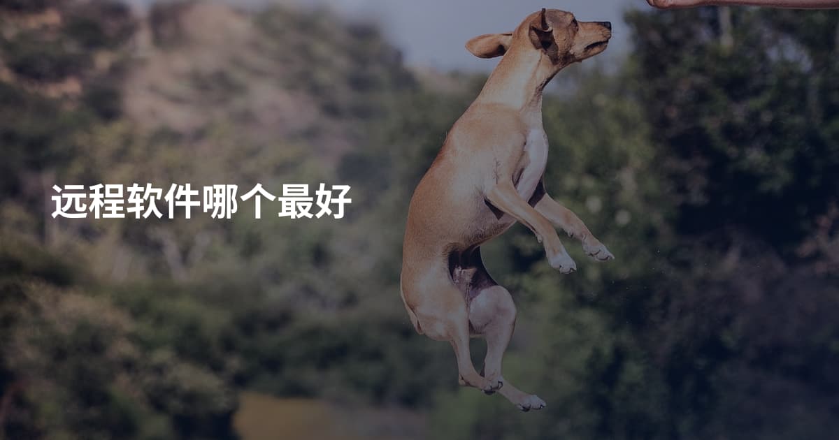 远程软件哪个最好