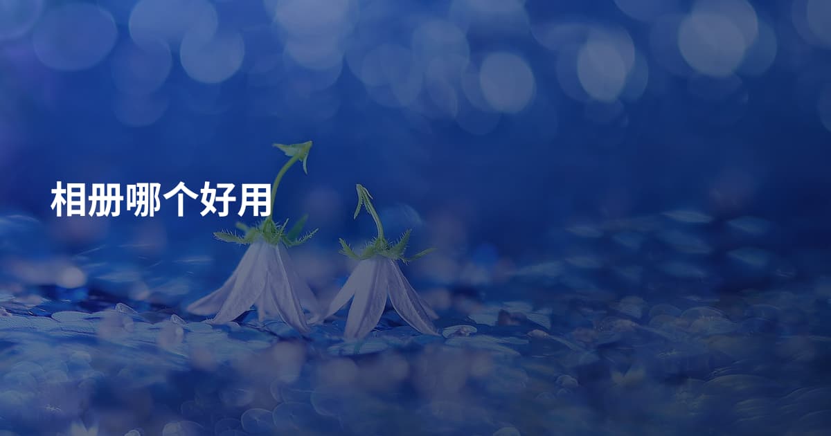 相册哪个好用