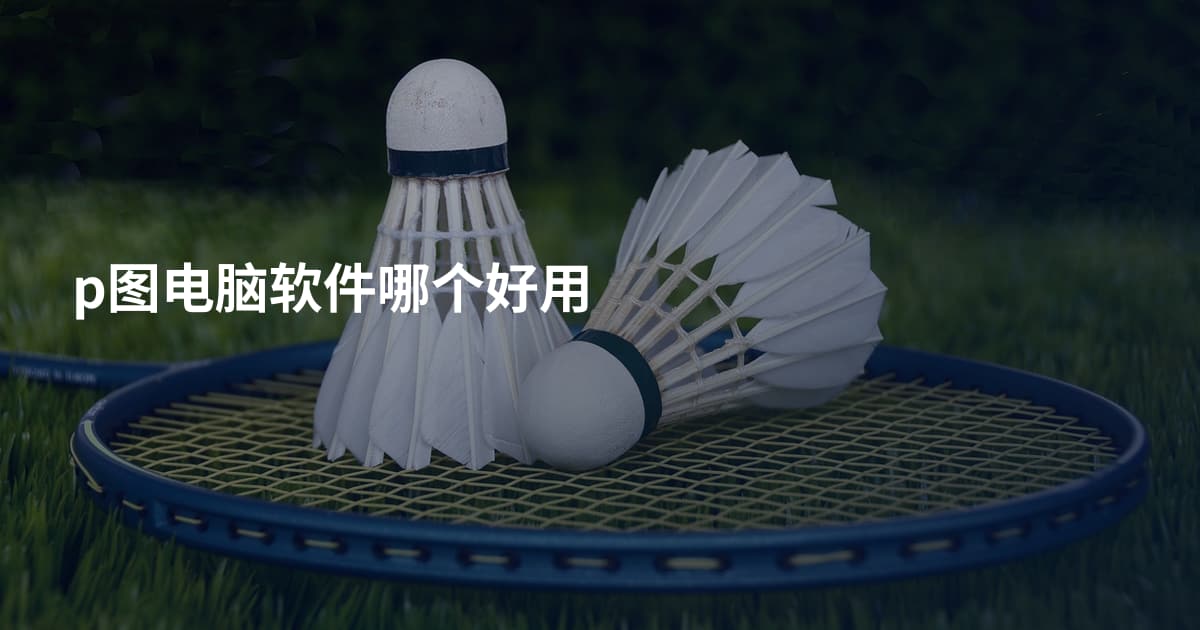 p图电脑软件哪个好用