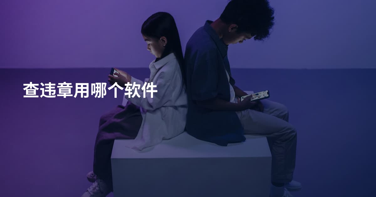 查违章用哪个软件