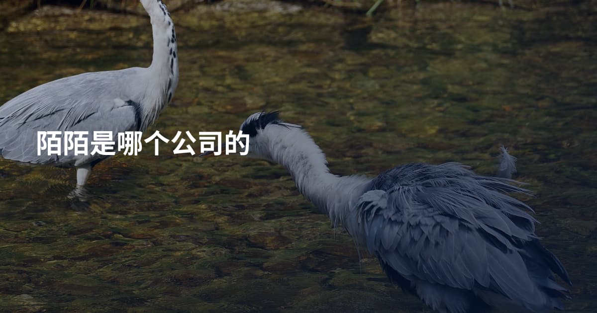 陌陌是哪个公司的