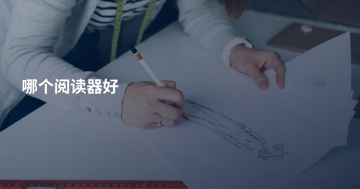 哪个阅读器好