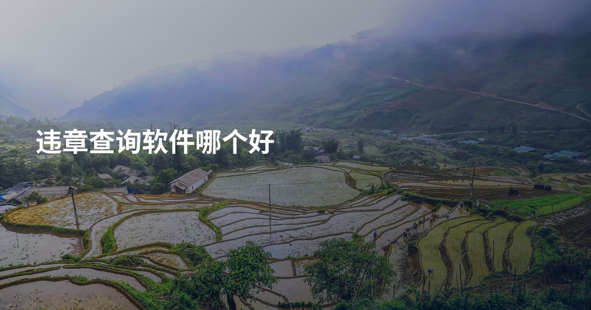 违章查询软件哪个好