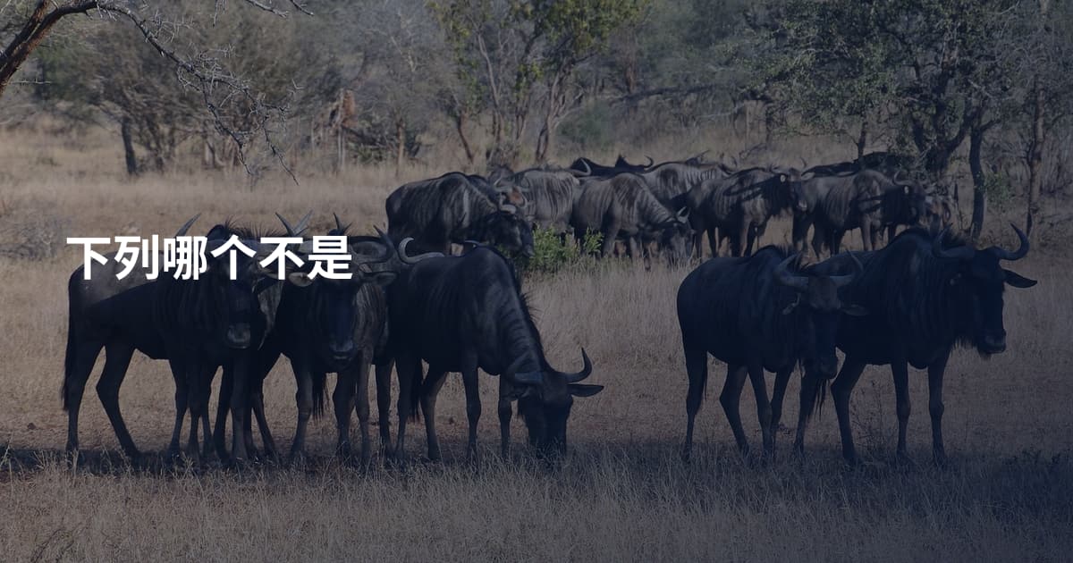 下列哪个不是
