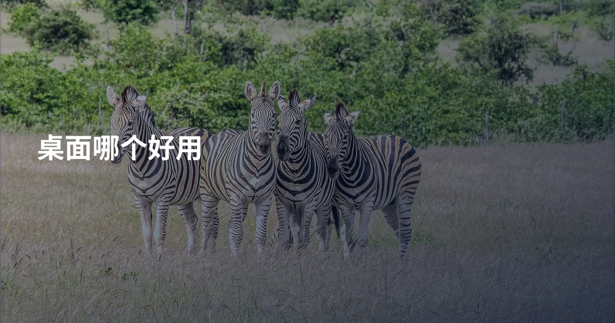 桌面哪个好用