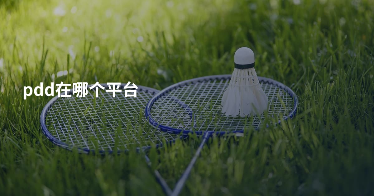 pdd在哪个平台