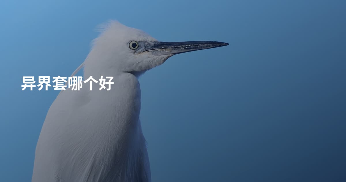 异界套哪个好