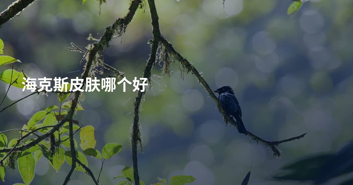 海克斯皮肤哪个好