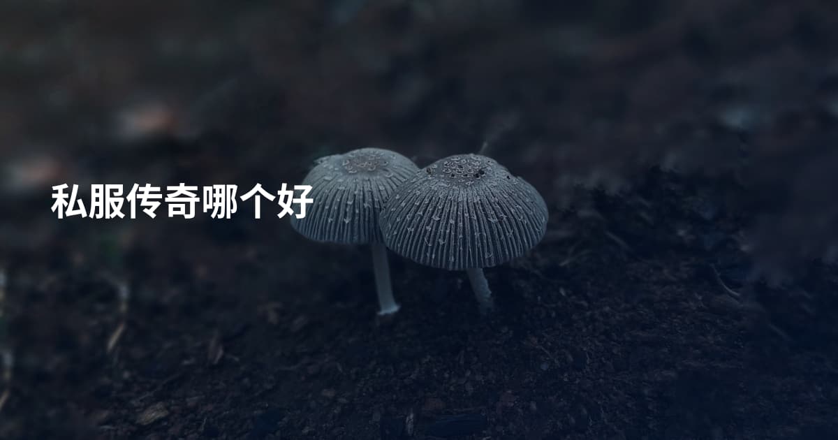 私服传奇哪个好