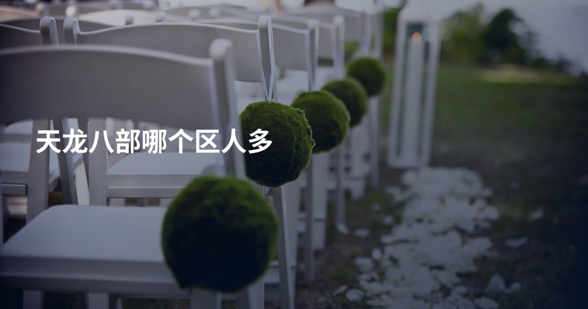 天龙八部哪个区人多