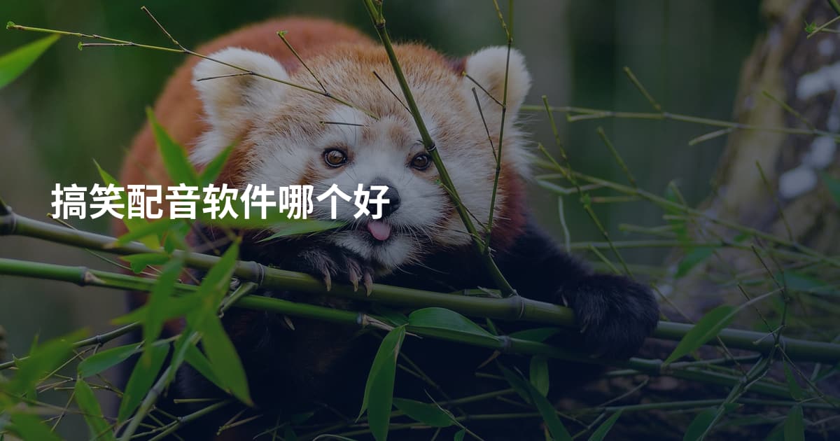 搞笑配音软件哪个好