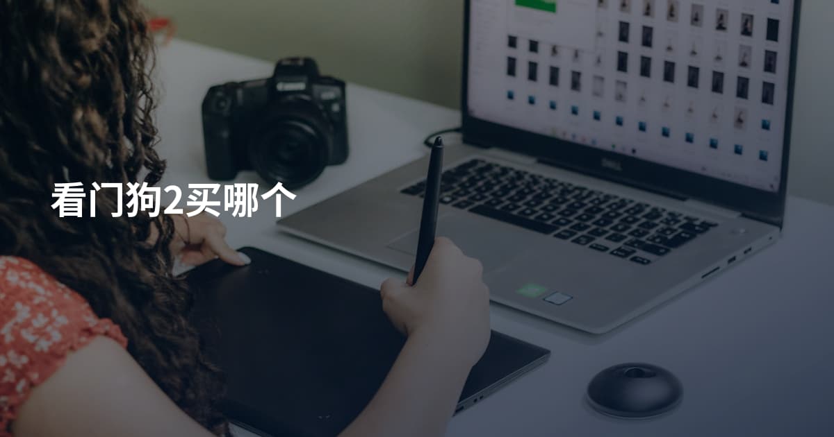 看门狗2买哪个