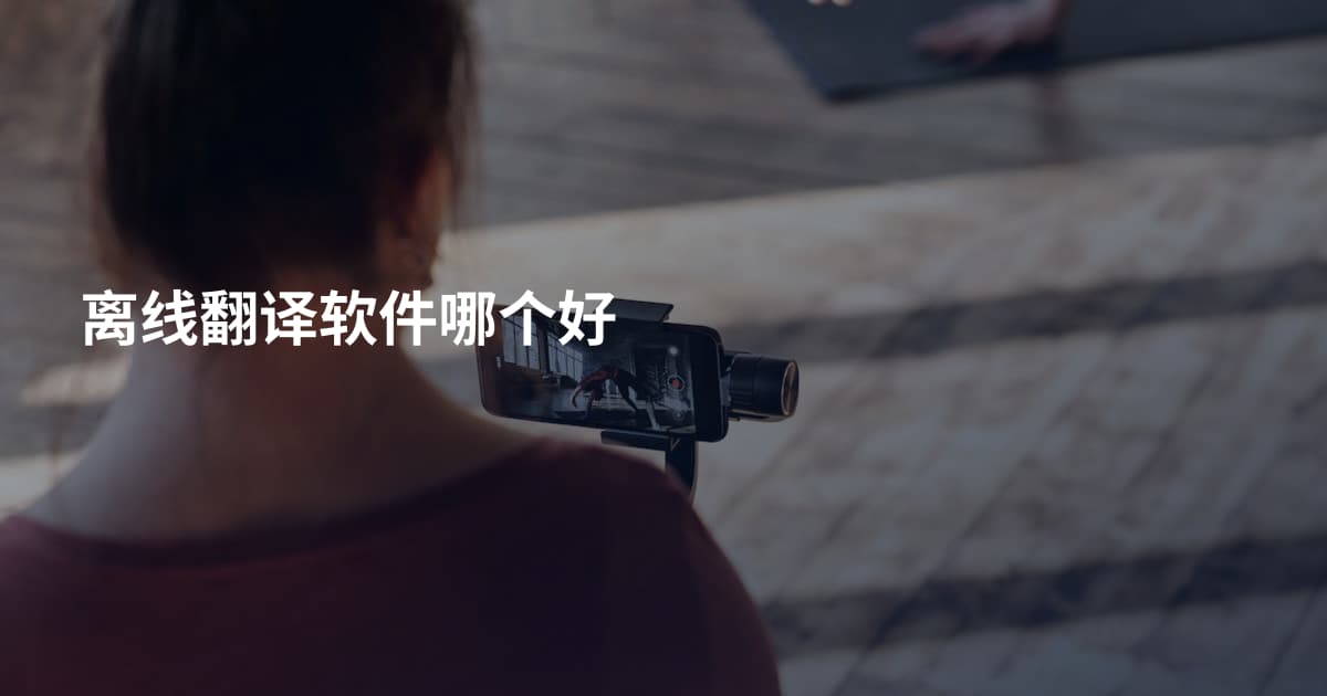 离线翻译软件哪个好