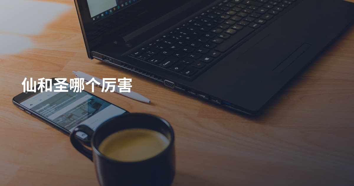 仙和圣哪个厉害