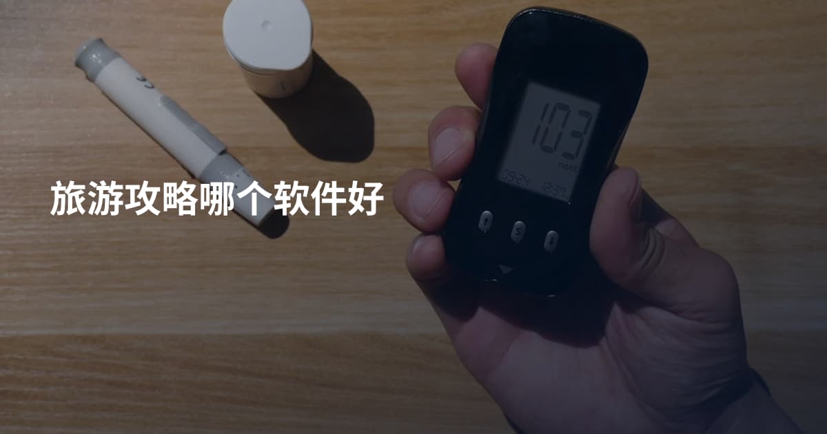 旅游攻略哪个软件好