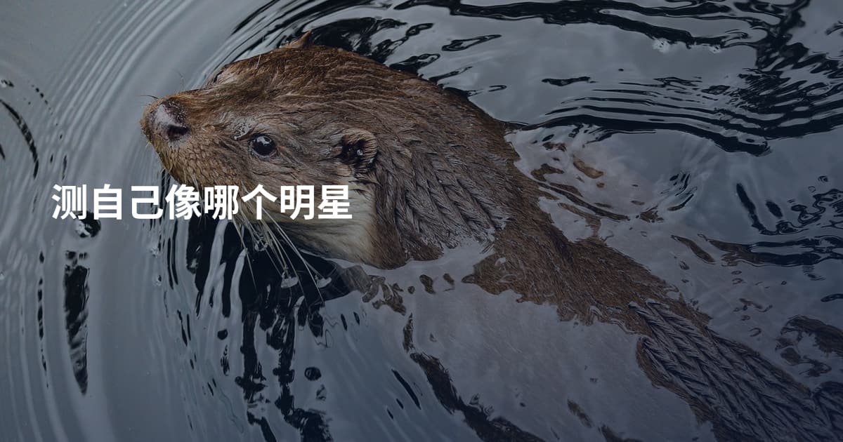 测自己像哪个明星