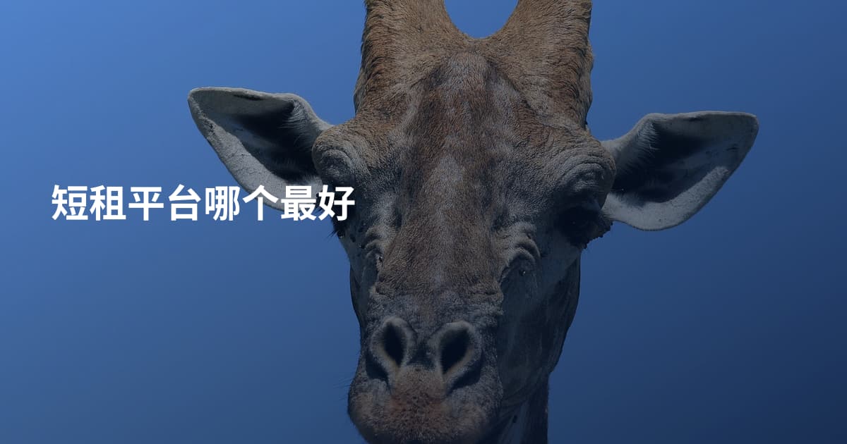 短租平台哪个最好