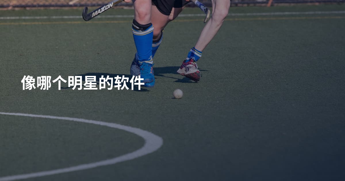 像哪个明星的软件
