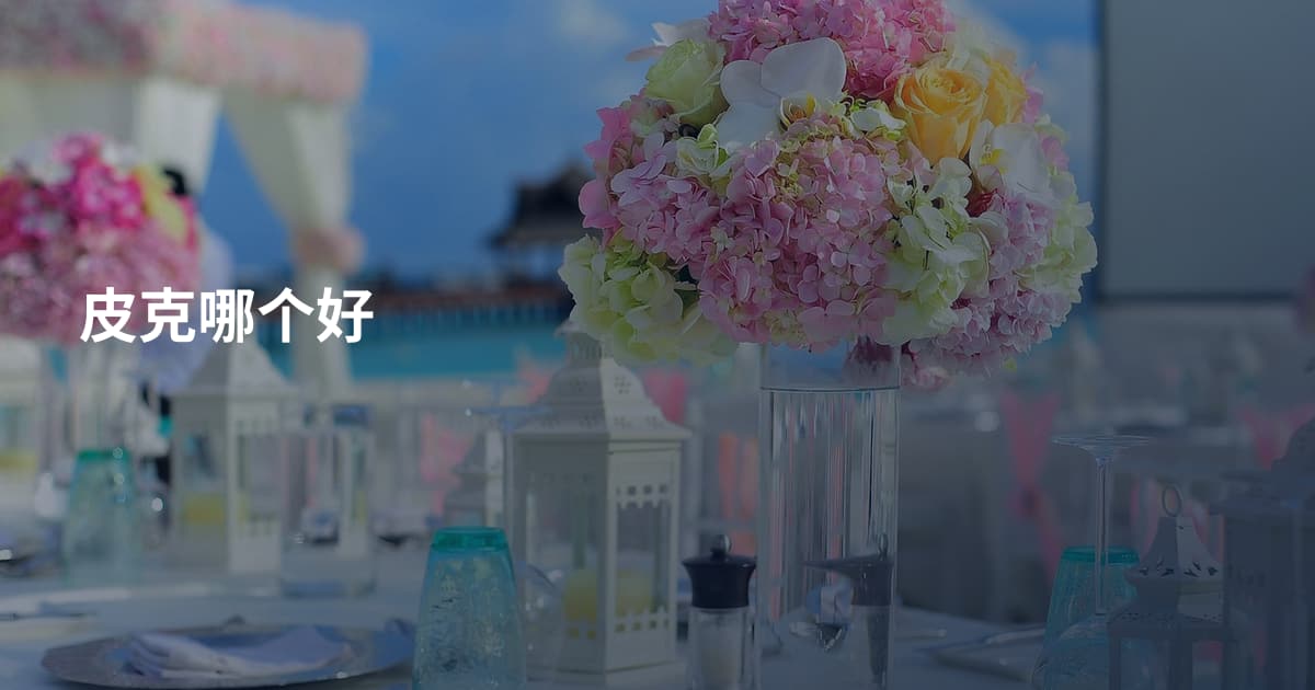 皮克哪个好