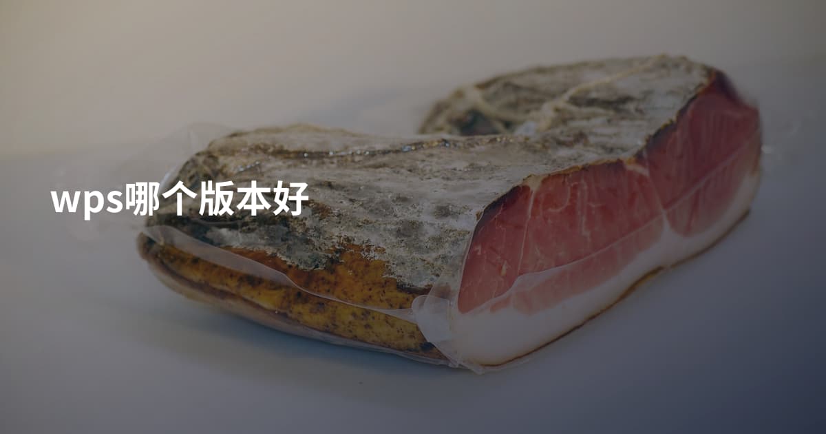 wps哪个版本好