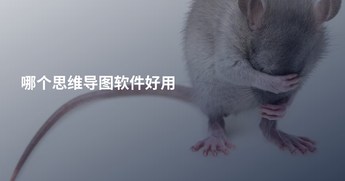 哪个思维导图软件好用