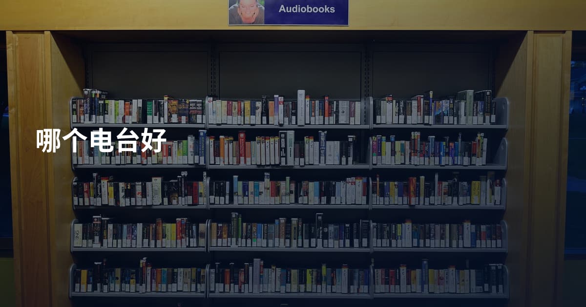哪个电台好