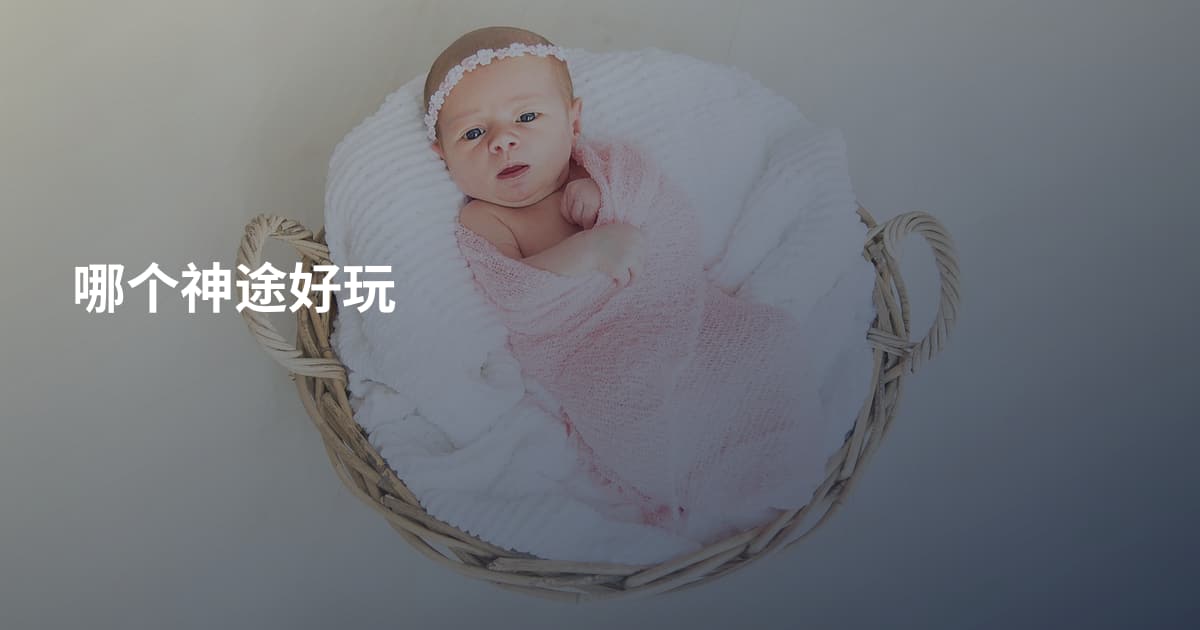 哪个神途好玩