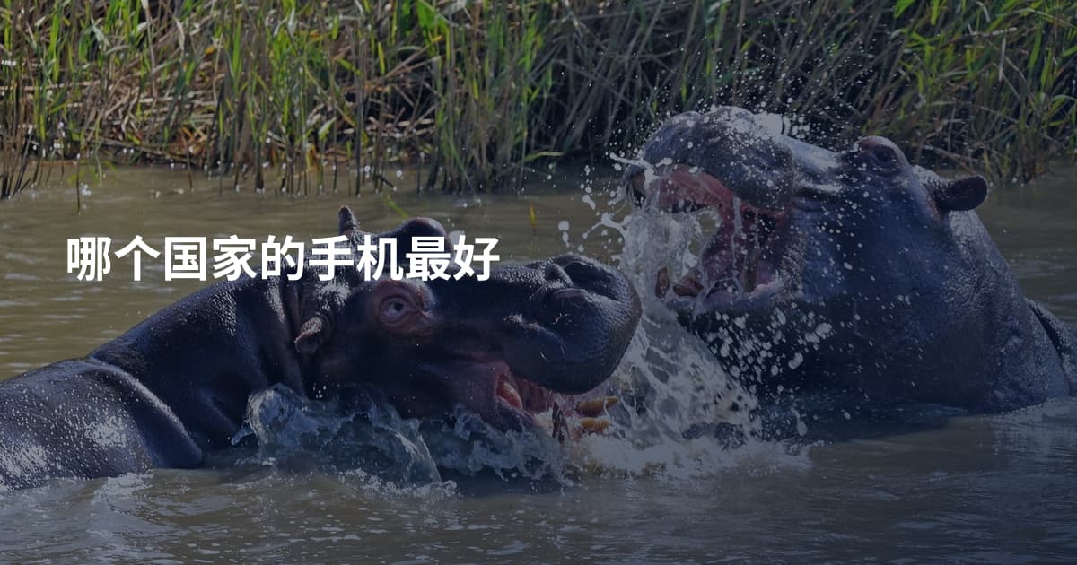 哪个国家的手机最好