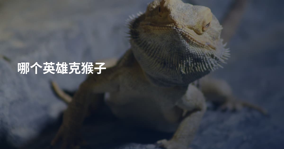 哪个英雄克猴子