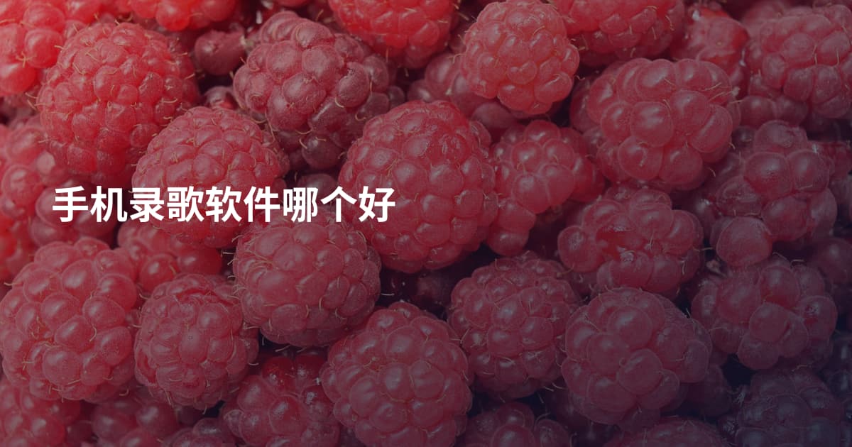 手机录歌软件哪个好