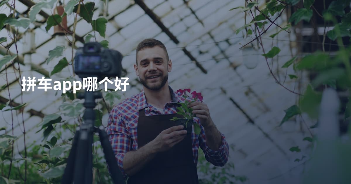 拼车app哪个好