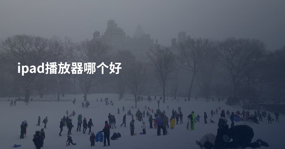 ipad播放器哪个好