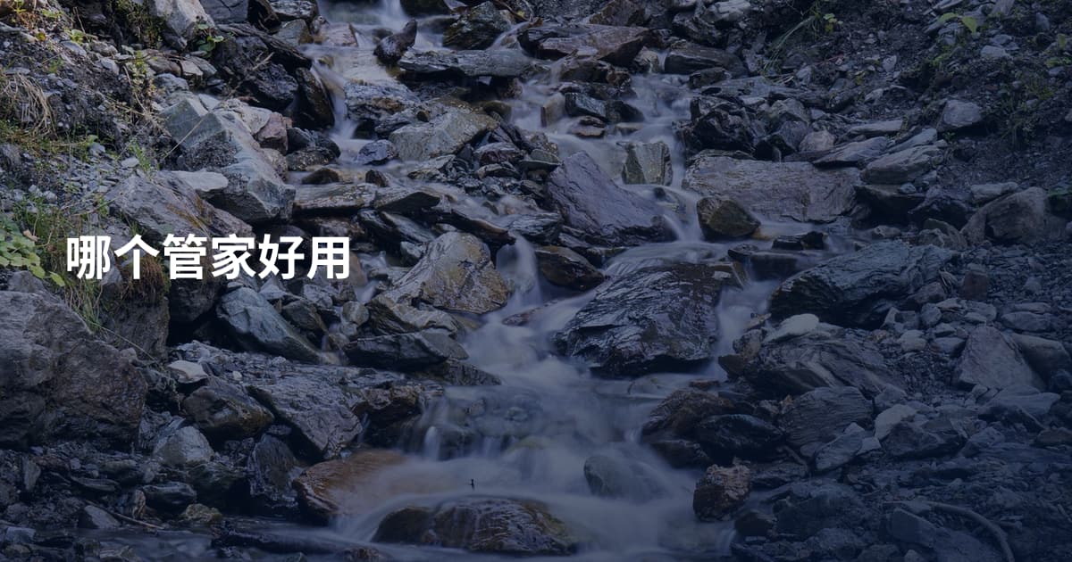 哪个管家好用