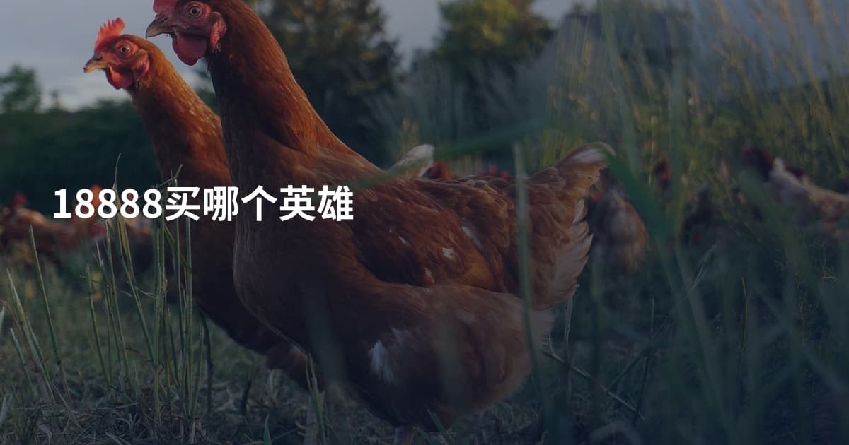 18888买哪个英雄