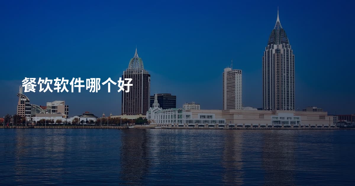 餐饮软件哪个好
