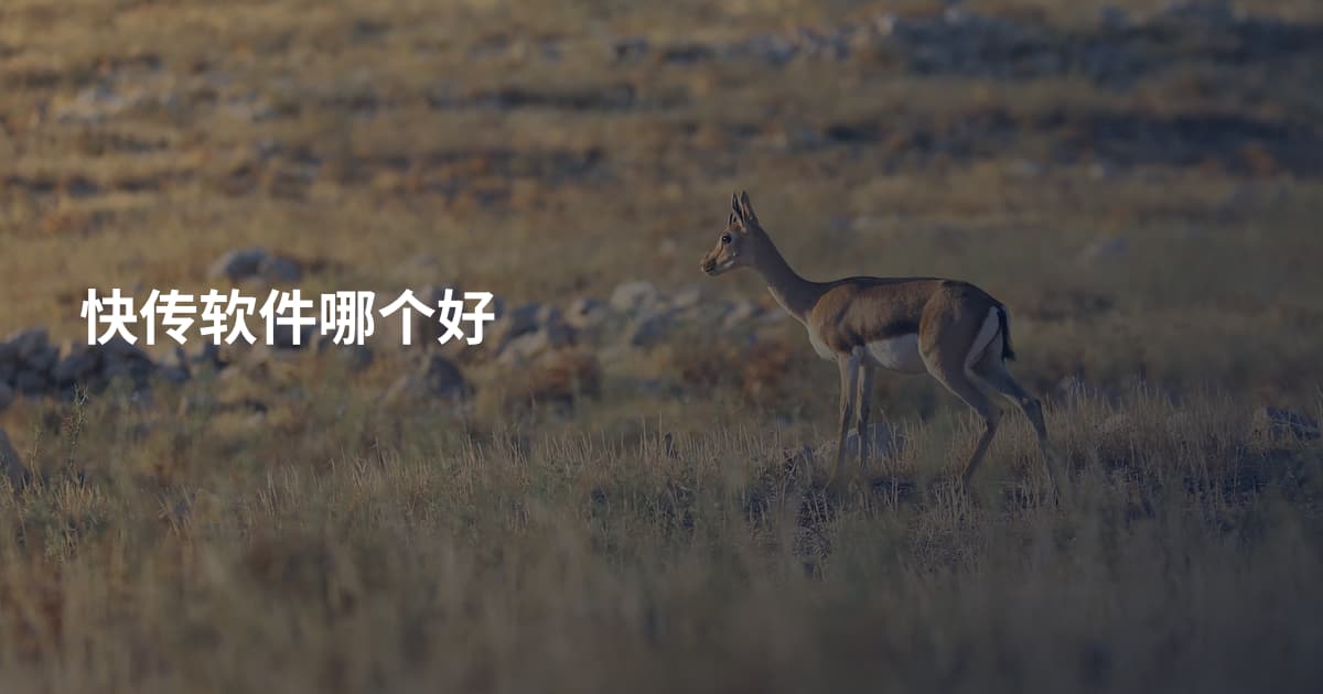 快传软件哪个好