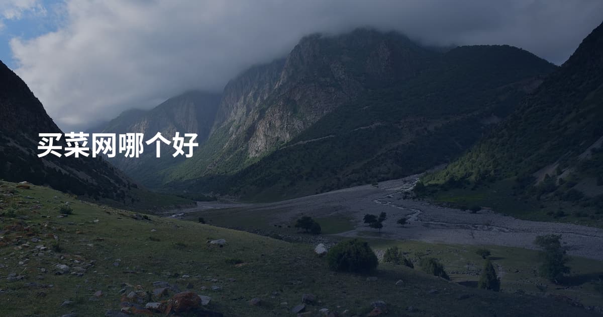 买菜网哪个好